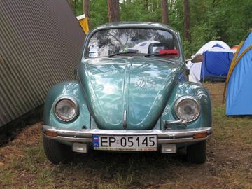 Zdjęcie 287