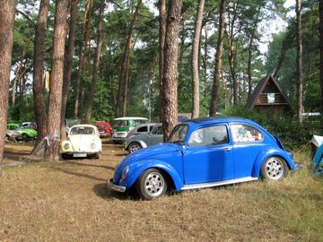 Zdjęcie 290