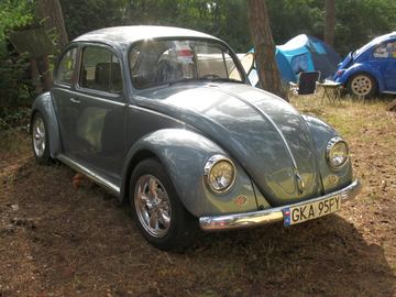 Zdjęcie 293
