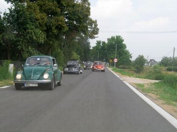 Zdjęcie 309