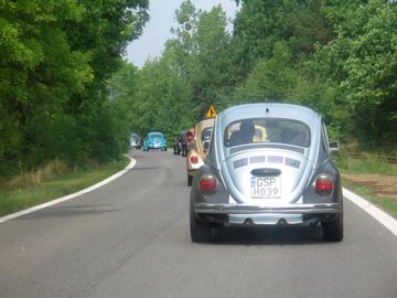 Zdjęcie 310