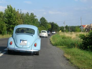Zdjęcie 311