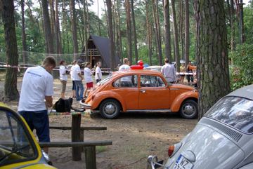 Zdjęcie 314