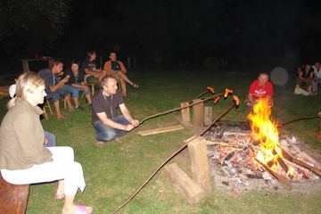 Zdjęcie 33