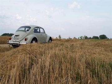 Zdjęcie 350