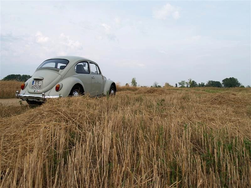 Monte Garbo 2008 – zdjęcie 350