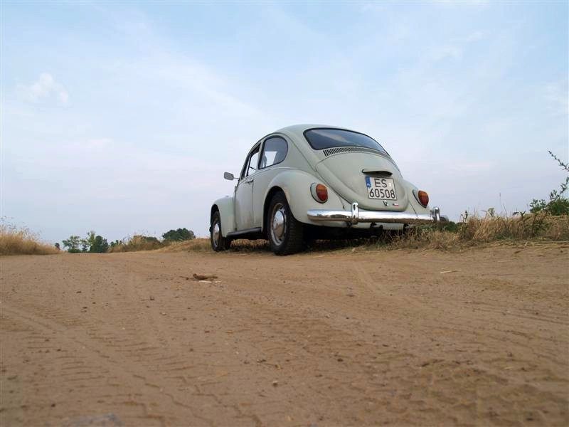 Monte Garbo 2008 – zdjęcie 351