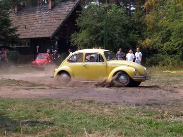 Zdjęcie 384