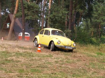 Zdjęcie 387