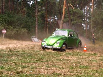 Zdjęcie 419