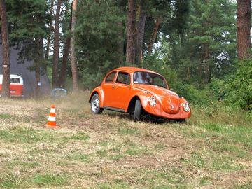 Zdjęcie 425