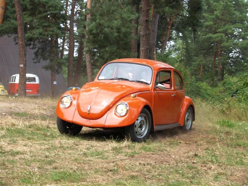 Monte Garbo 2008 – zdjęcie 427