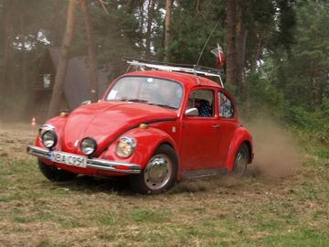 Zdjęcie 450