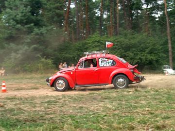 Zdjęcie 453