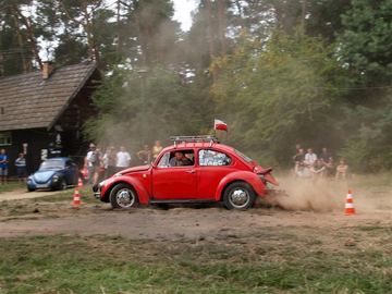 Zdjęcie 454
