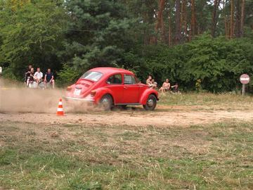 Zdjęcie 459