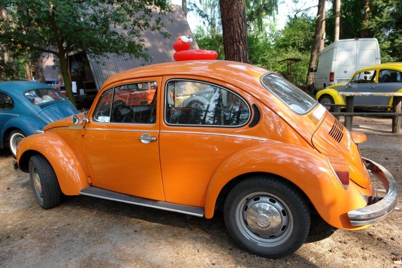 Monte Garbo 2008 – zdjęcie 48