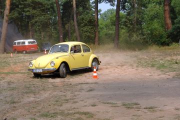 Zdjęcie 91