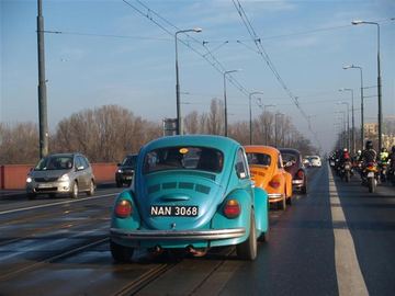 Zdjęcie 118