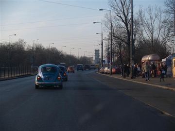 Zdjęcie 121