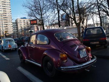 Zdjęcie 128