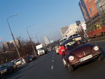Zdjęcie 131