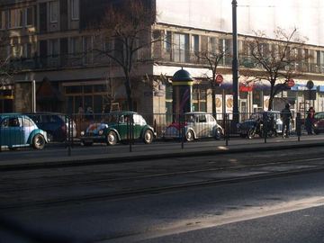 Zdjęcie 136