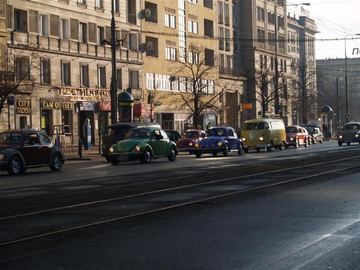 Zdjęcie 138