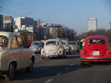Zdjęcie 151