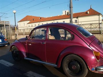 Zdjęcie 159