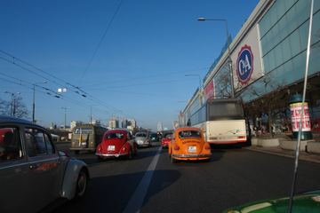 Zdjęcie 48