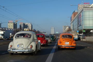 Zdjęcie 50