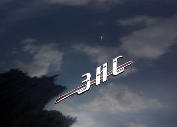 Zdjęcie 47