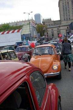 Zdjęcie 56