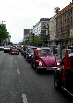 Zdjęcie 74