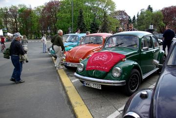 Zdjęcie 76