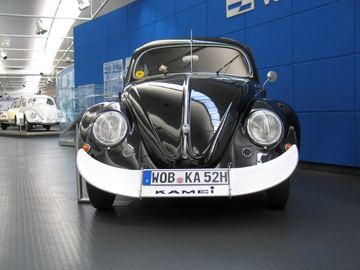 Zdjęcie 54