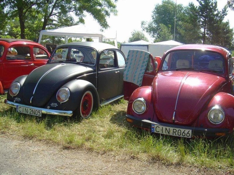 Przybrodzin 2008 – zdjęcie 101