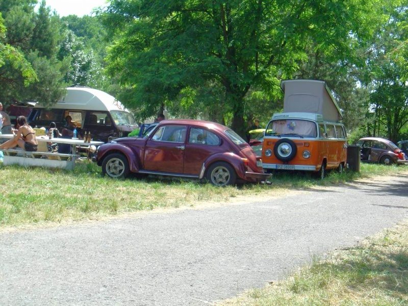 Przybrodzin 2008 – zdjęcie 108