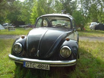 Zdjęcie 11