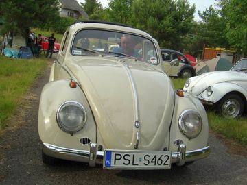 Zdjęcie 13