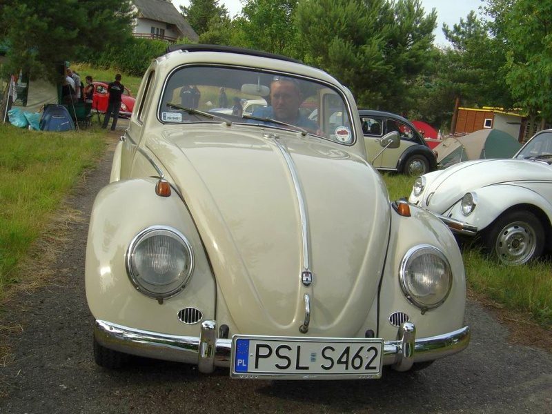 Przybrodzin 2008 – zdjęcie 13