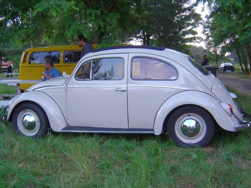Przybrodzin 2008 – zdjęcie 15