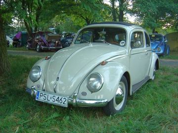Zdjęcie 17