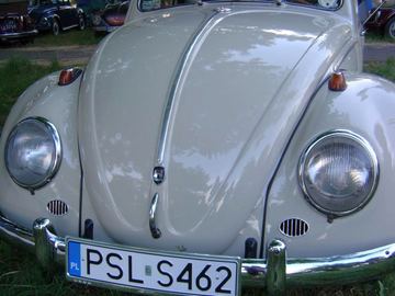 Zdjęcie 19