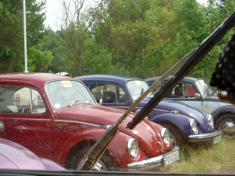 Przybrodzin 2008 – zdjęcie 2