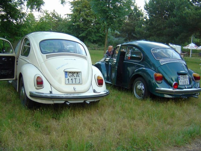 Przybrodzin 2008 – zdjęcie 24