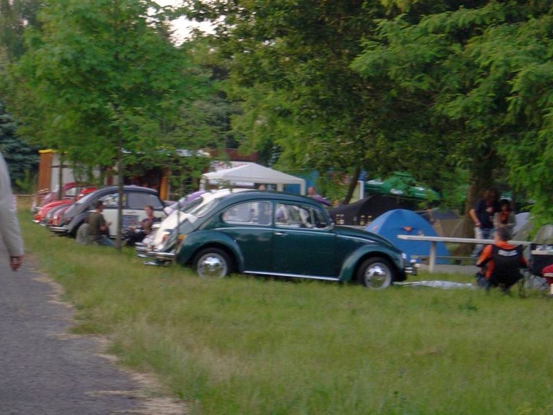 Przybrodzin 2008 – zdjęcie 31