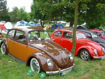Zdjęcie 38