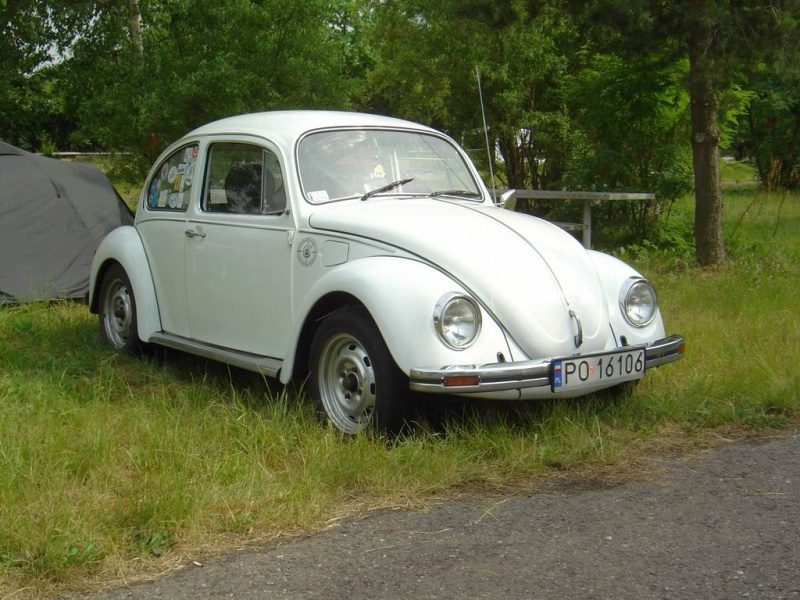Przybrodzin 2008 – zdjęcie 4